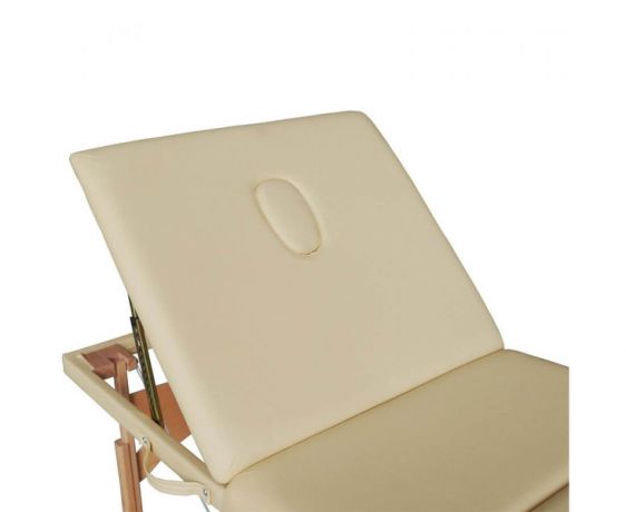 Массажный стол DFC NIRVANA Relax Pro Beige